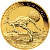 Nugget 1 OZ - 1